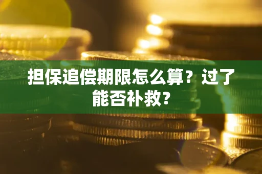 北京担保追偿期限怎么算？过了能否补救？